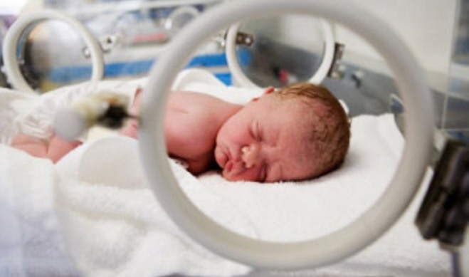 bebê prematuro em uma encubadora para ilustrar a licença maternidade