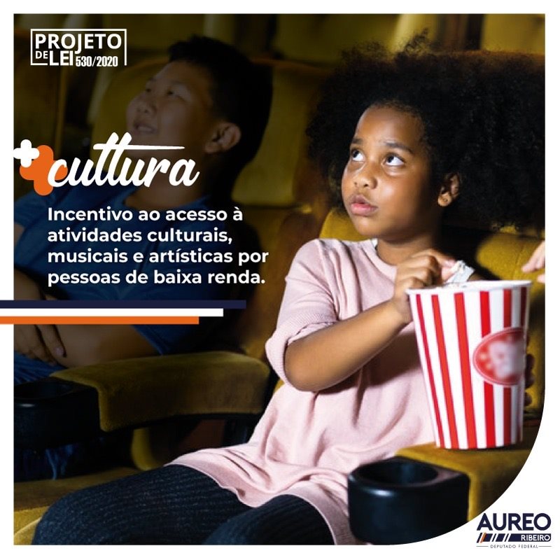 Oportunidade e cultura - PL 530/2020