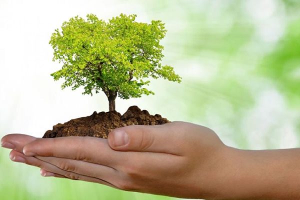 MEIO-AMBIENTE-shutterstock_93568675-meio-ambiente-ESSE-66tdww3ecp29yq5xwodql9yovbvln5evjzjg1c8315a