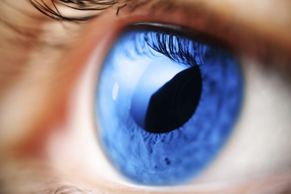 Estrogen affects cells in the eye's retina, which may help explain a possible link between glaucoma and estrogen levels.